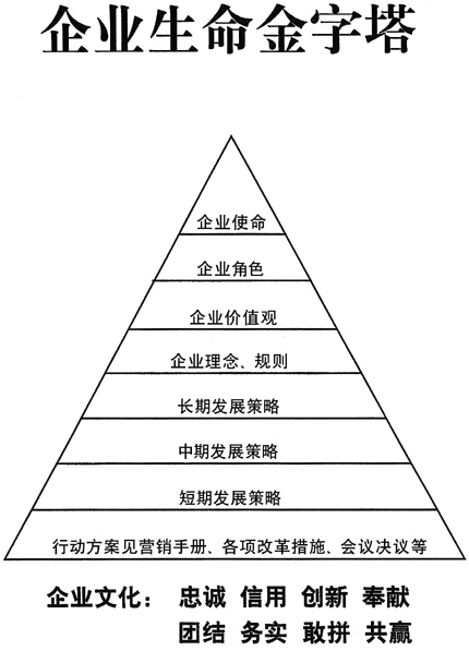 企業(yè)生命金字塔